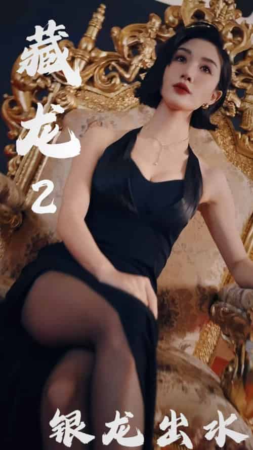 藏龙2银龙出水（35集）-初遇资源网