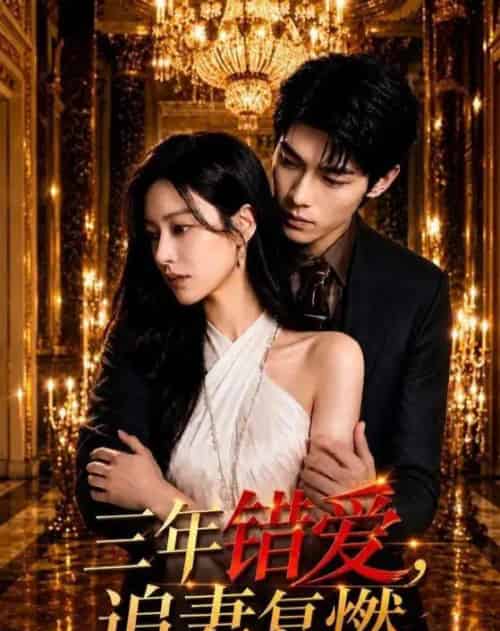 三年错爱，追妻复燃（102集全）AI - 夸克短剧