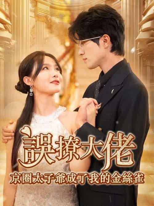 誤撩大佬,京圈太子爺成了我的金絲雀(97集全)薄靳修&姜辭憂-初遇资源网