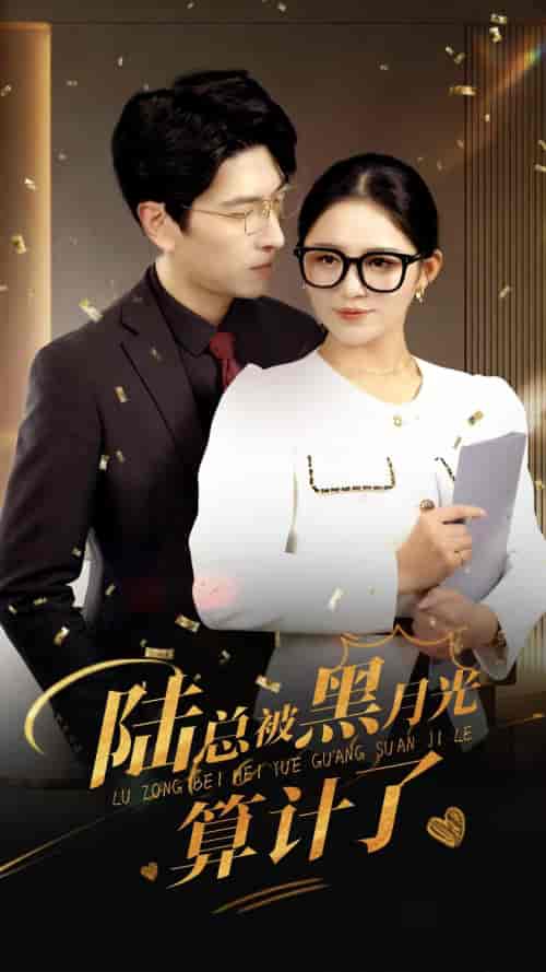 陆总被黑月光算计了（93集）-初遇资源网