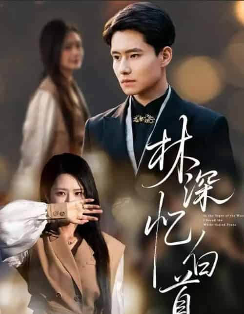 林深忆白首（60集全）张佳艺＆翟兆星-初遇资源网