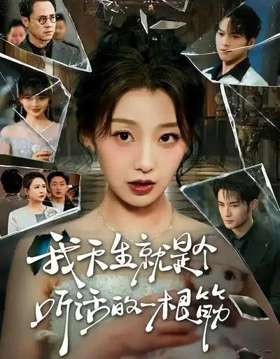 我天生就是个听话的一根筋（75集全）王倩＆孟令今-初遇资源网