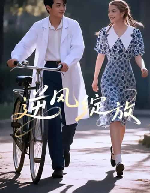 逆风绽放（55集全）迪娜DeNa＆周煜枫＆瓦日斯-初遇资源网