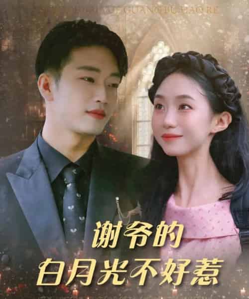 谢爷的白月光不好惹（61集）郑皓月＆罗东旭-初遇资源网