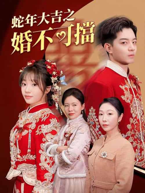 蛇年大吉之婚不可擋(50集全)陳寒&劉茜-初遇资源网