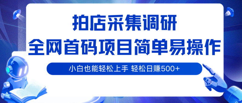 拍店采集调研，全网首码项目，简单易操作， 小白也能轻松上手，轻松日赚500+-初遇资源网