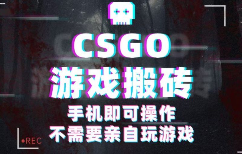 CSGO游戏挂机捡漏,单日扫货500+,年底小高峰上车可吃肉,手机即可操作兼职副业-初遇资源网