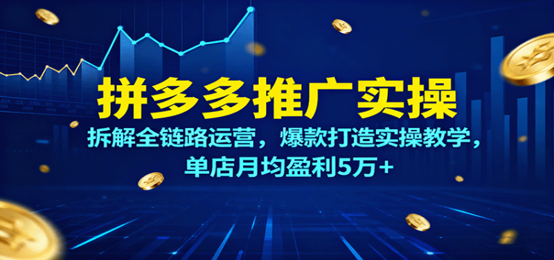 拼多多推广实操,拆解全链路运营,爆款打造实操教学,单店月均盈利5万+-初遇资源网