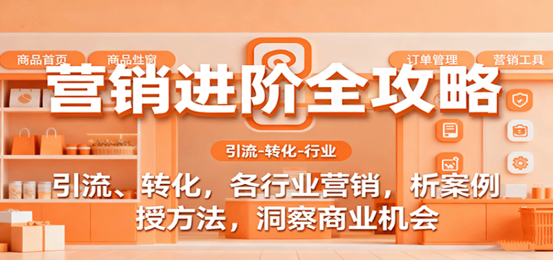 营销进阶全攻略,引流、转化,各行业营销,析案例,授方法,洞察商业机会-初遇资源网