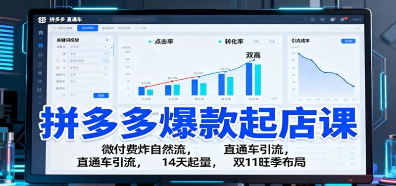 拼多多爆款起店课:微付费炸自然流,直通车引流,14天起量,双11旺季布局-初遇资源网