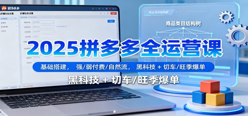2025拼多多全运营课：基础搭建，强/弱付费/自然流，黑科技 + 切车/旺季爆单-初遇资源网