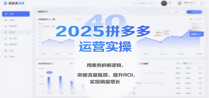 2025拼多多运营实操，用案例拆解逻辑，突破流量瓶颈、提升ROI，实现销量增长-初遇资源网