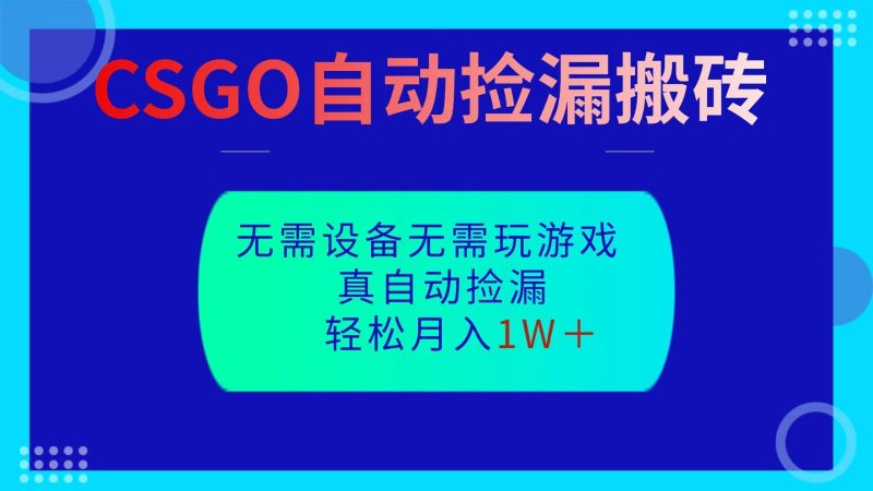 CSGO自动捡漏搬砖,当天操作当天见结果,无需了解游戏,包教包会包落地-初遇资源网