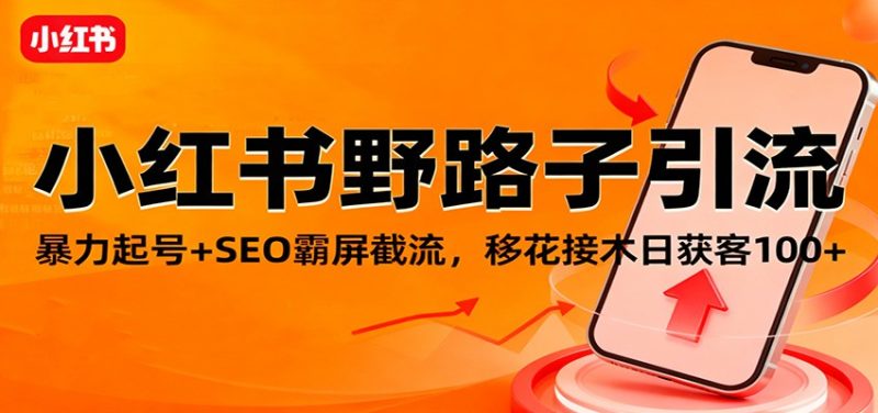小红书野路子引流,暴力起号+SEO霸屏截流,移花接木日获客100+-初遇资源网
