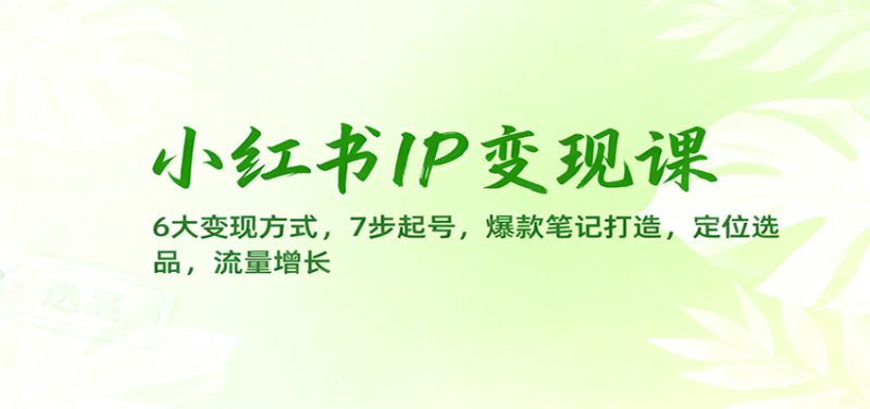 小红书IP变现课:6大变现方式,7步起号,爆款笔记打造,定位选品,流量增长-初遇资源网