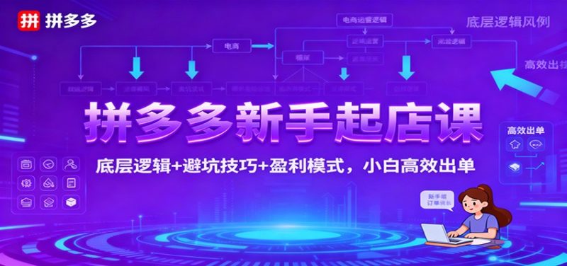 拼多多新手起店课:底层逻辑+避坑技巧+盈利模式,小白高效出单-初遇资源网