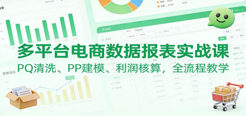 多平台电商数据报表实战课:PQ清洗、PP建模、 利润核算,全流程教学-初遇资源网