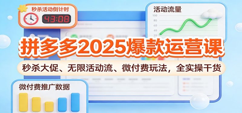 拼多多2025爆款运营课:秒杀大促、无限活动流、微付费玩法,全实操干货-初遇资源网