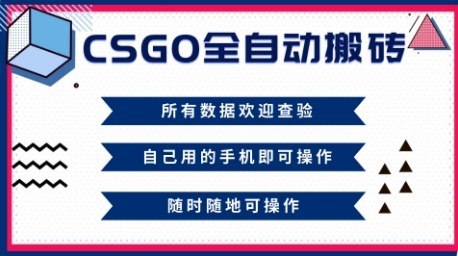 CSGO全自动搬砖,年底钱回家好项目,当天可拿到结果,新手小白轻松月入1W+-初遇资源网