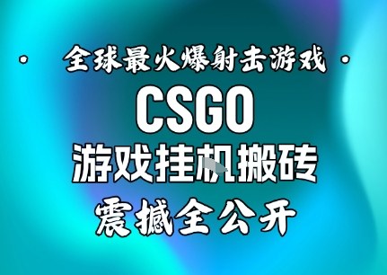 【年底大揭秘】基于全球最火爆的射击CSGO游戏挂G搬砖,日入5张+,震撼公开-初遇资源网