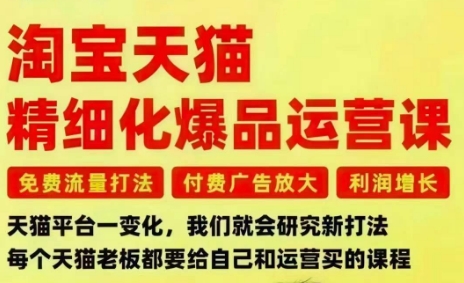 淘宝天猫精细化爆品运营课,免费流量打法-付费广告放大-利润增长-三大核心痛点,一次全部解决-初遇资源网