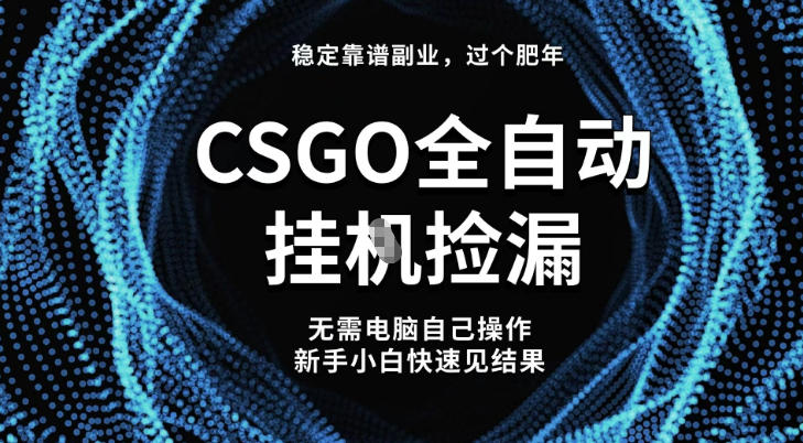 【稳定副业】全球最热门游戏CSGO全自动捡漏,最新玩法,新手小白日入5张+-初遇资源网