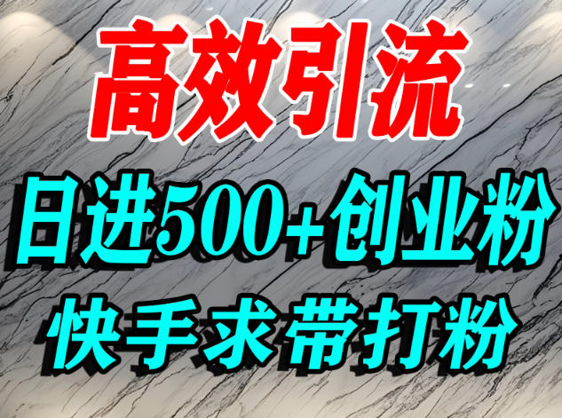 怎么打创业粉?快手求带视角精准引流创业粉,宝妈、学生群体日进500+精准流量-初遇资源网