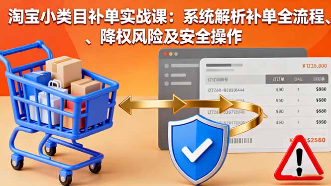淘宝小类目补单实战课：系统解析补单全流程、降权风险及安全操作-初遇资源网