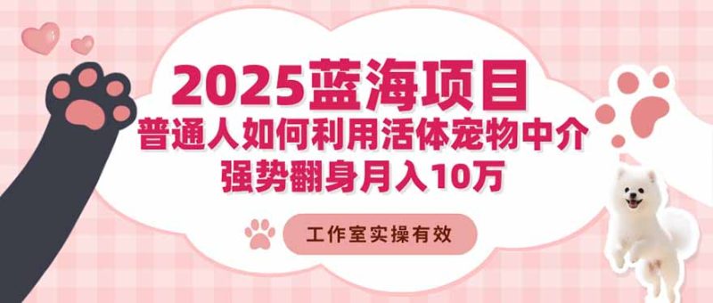 2025蓝海项目:普通人如何利用活体宠物中介,强势翻身月入10万-初遇资源网