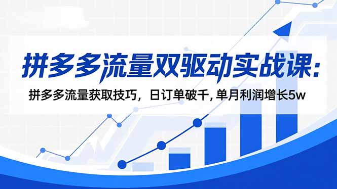 拼多多流量双驱动实战课:拼多多流量获取技巧,日订单破千,单月利润增长5w-初遇资源网