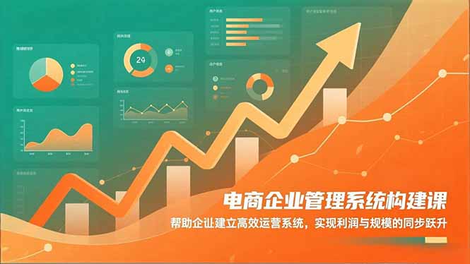 电商企业管理系统构建课:帮助企业建立高效运营系统,实现利润与规模的同步跃升-初遇资源网