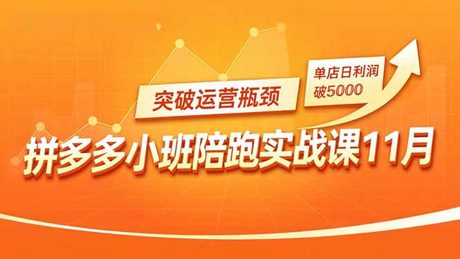 拼多多小班陪跑实战课11月，强付费矩阵、原价活动、暗券引流，突破运营瓶颈，单店日利润破5000-初遇资源网