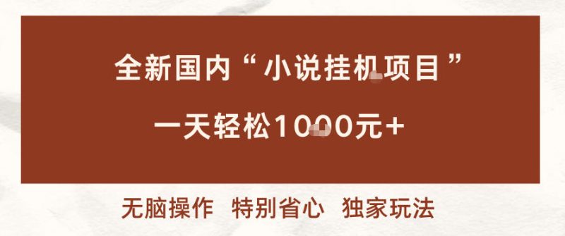 全新国内小说挂G项目,多窗口无脑跑,一天轻松1k+,特别省心-初遇资源网
