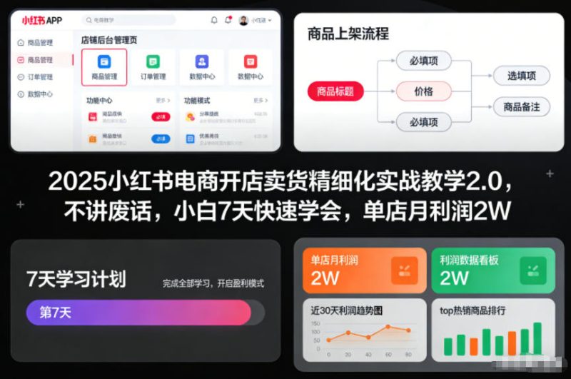 2025小红书电商开店卖货精细化实战教学2.0，不讲废话，小白7天快速学会，单店月利润2W-初遇资源网