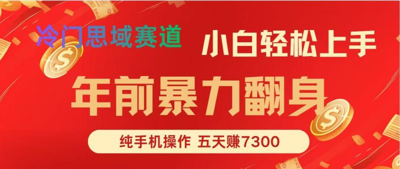年前爆火项目,5天赚了7300-初遇资源网