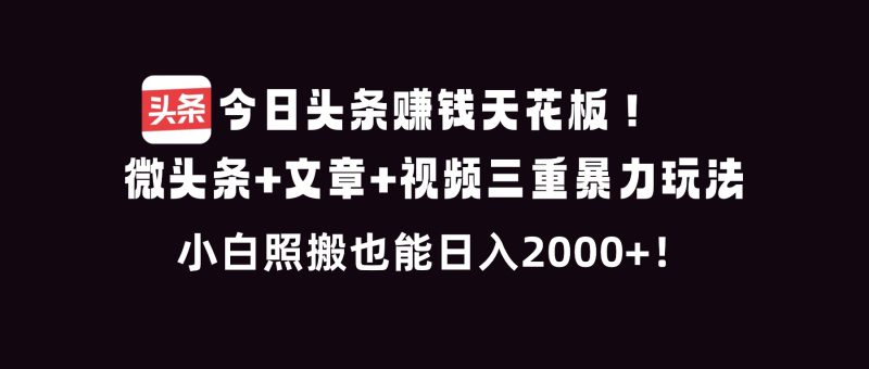 今日头条赚钱天花板！微头条+文章+视频三重暴利玩法，小白照搬也能日人2000+-初遇资源网