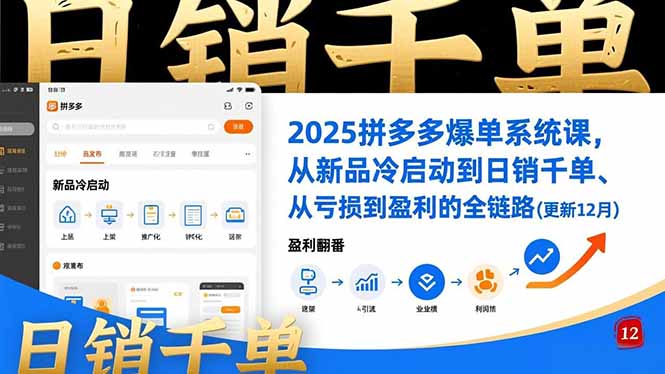 2025拼多多爆单系统课，从新品冷启动到日销千单、从亏损到盈利的全链路（更新12月）-初遇资源网