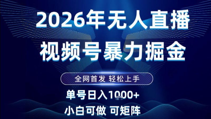 2026最新视频号无人直播掘金,全网首发,小白可以玩,长期稳定日入1k+-初遇资源网