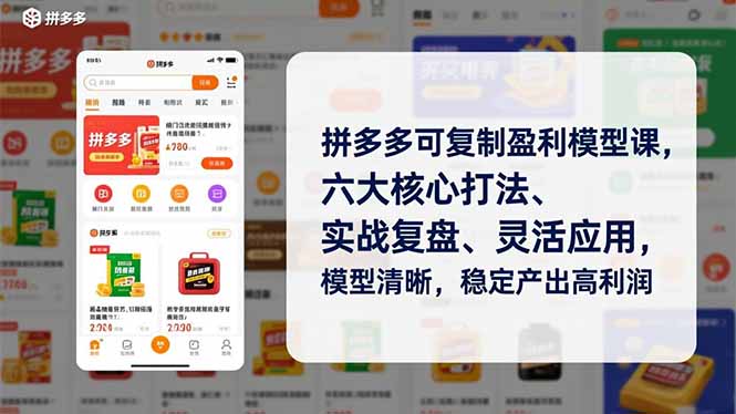 拼多多可复制盈利模型课,六大核心打法、实战复盘、灵活应用,模型清晰,稳定产出高利润-初遇资源网