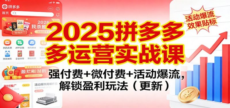 2025拼多多运营实战课:强付费+微付费+活动爆流,解锁盈利玩法(更新)-初遇资源网