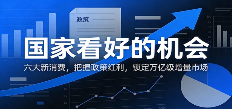 公众号付费文章:国家看好的机会,六大新消费,把握政策红利,锁定万亿级增量市场-初遇资源网