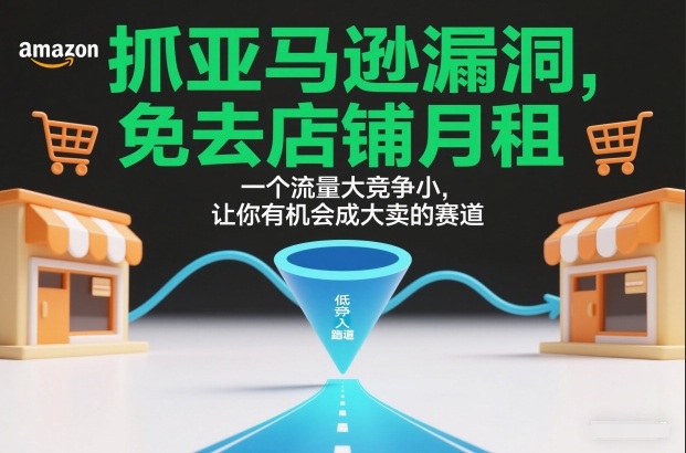 抓亚马逊漏洞,免去店铺月租,一个流量大竞争小,让你有机会成大卖的赛道-初遇资源网