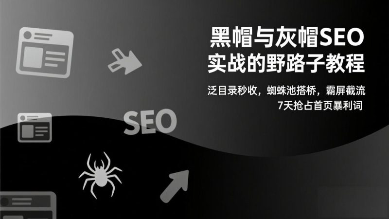 黑帽与灰帽SEO实战的野路子教程:泛目录秒收,蜘蛛池搭桥,霸屏截流,7天抢占首页暴利词-初遇资源网