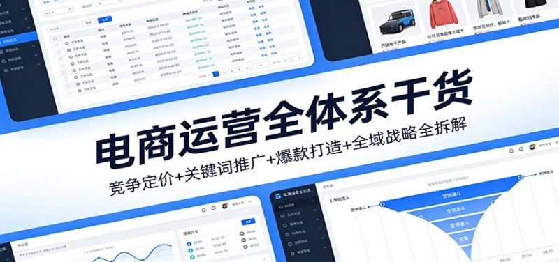 电商运营全体系干货,竞争定价+关键词推广+爆款打造+全域战略全拆解-初遇资源网
