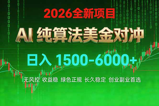 2026 全新美金对冲项目，不套平台赠金，不封号，纯算法对冲，日入 1500-6000+-初遇资源网