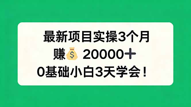 最新项目实操3个月,赚钱20000+,0基础小白3天学会!-初遇资源网