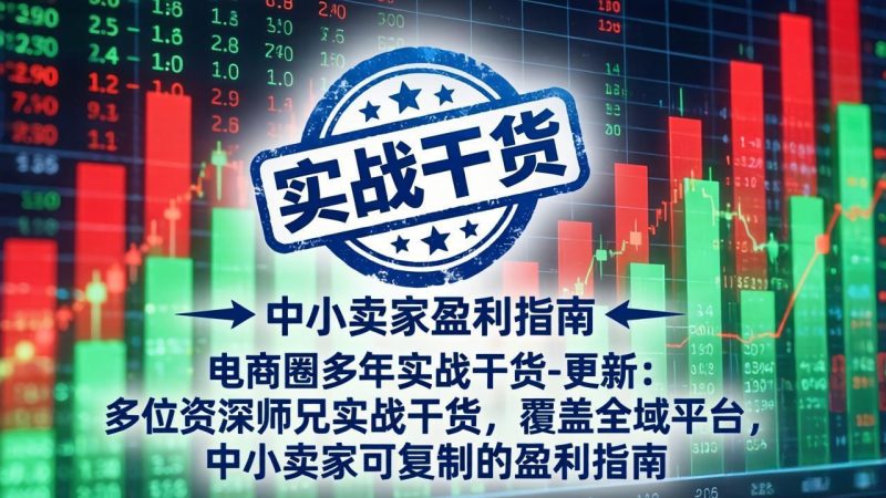 电商圈多年实战干货-更新4月:多位资深师兄实战干货,覆盖全域平台,中小卖家可复制的盈利指南-初遇资源网