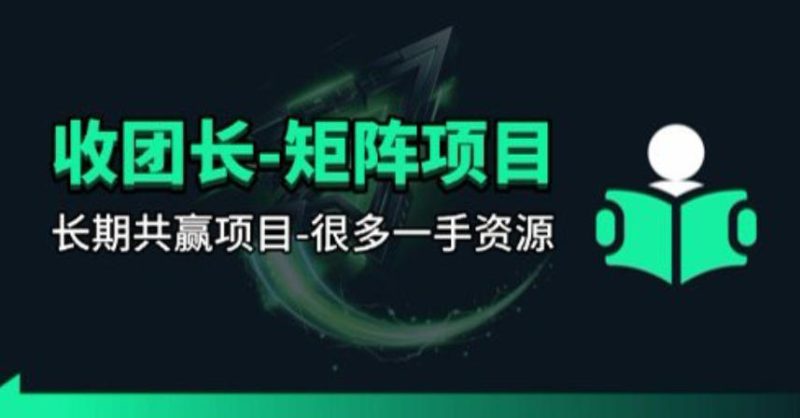 【团长合作】视频矩阵项目-初遇资源网