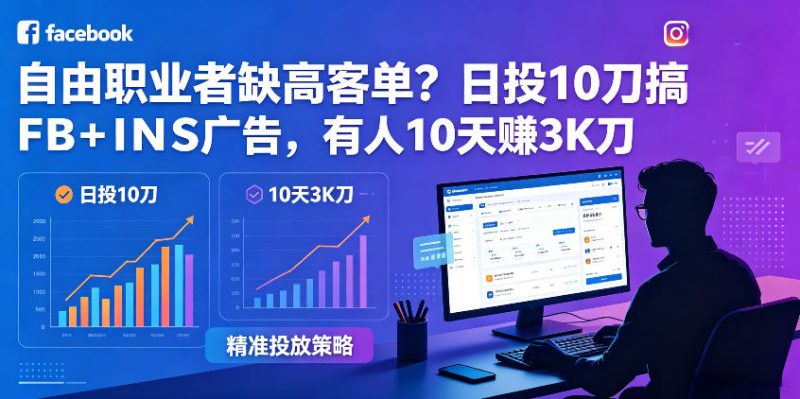 自由职业者缺高客单？日投10刀搞FB+INS广告，有人10天赚3K刀！【原创双语字幕】-初遇资源网