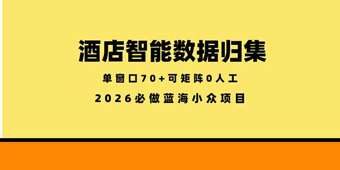 酒店智能数据归集，小众蓝海已经稳定半年之久，单窗口70+零成本矩阵开干-初遇资源网